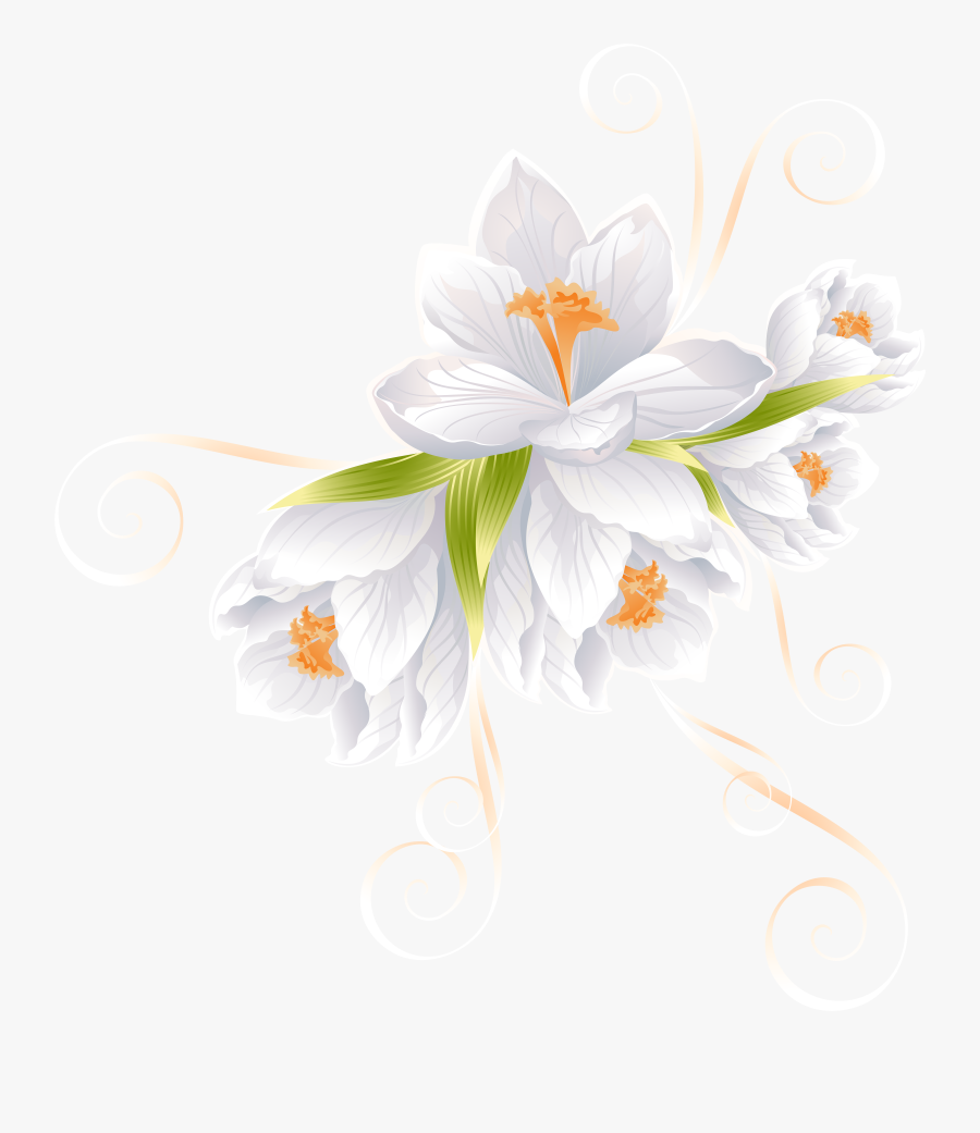 White Flower Decor Transparent Png Clip Art Image - White Flower Transparent Backgroud, Transparent Clipart