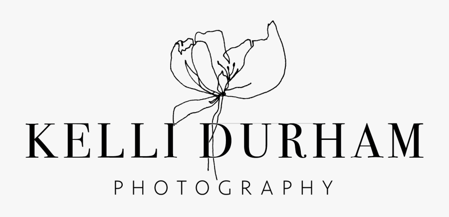 Clip Art Photographer Lifestyle Kelli Durham - Coloring Book, Transparent Clipart