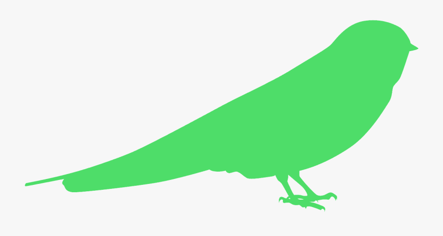 Parrot, Transparent Clipart