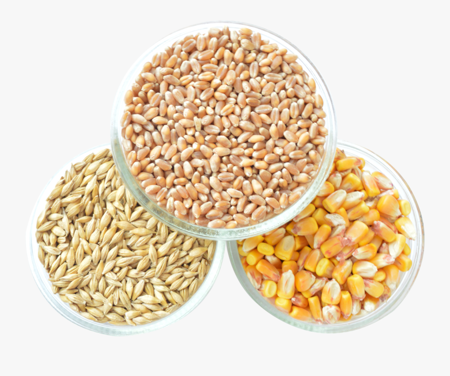 Grain Png Transparent Image - Whole Grain Cereal Png, Transparent Clipart