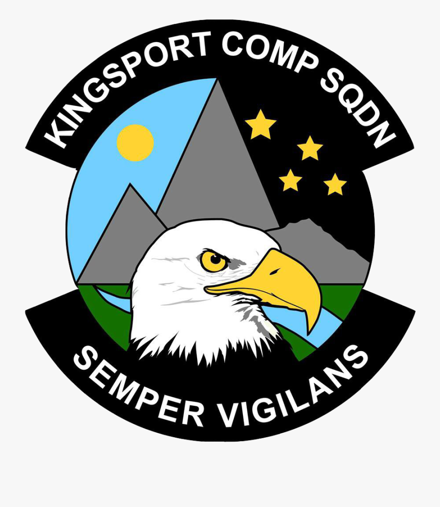 Kingston Composite - Bald Eagle, Transparent Clipart