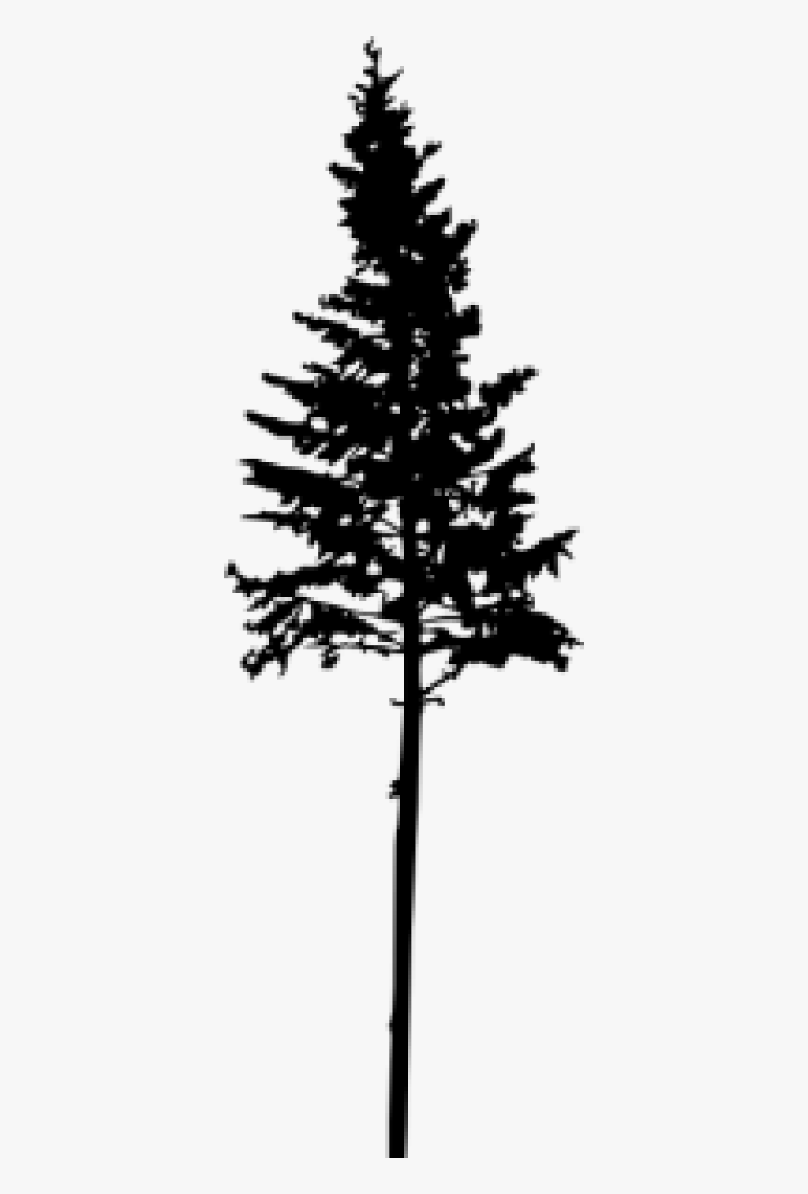 Silhouette Transparent Pine Tree Png, Transparent Clipart