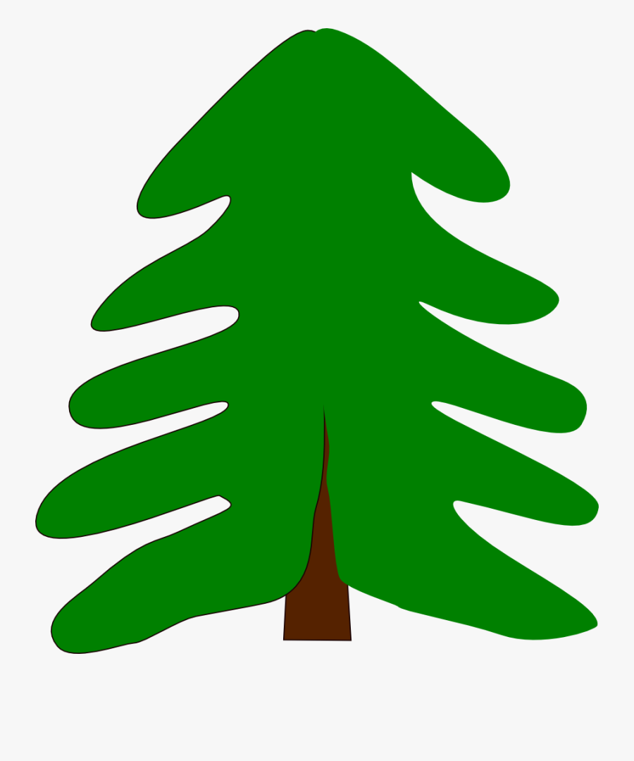 Fir,pine Family,plant - Pine Tree Cartoon, Transparent Clipart