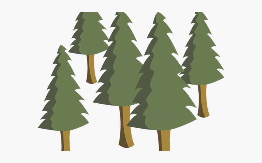 Pine Tree Graphics - Starcraft Wifiranger, Transparent Clipart