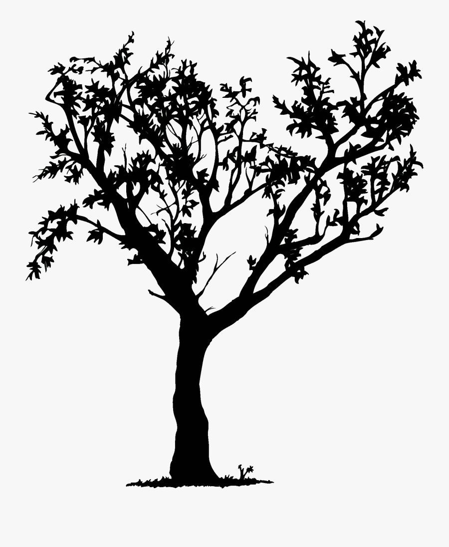 Pine Tree Clipart Black And White / Christmas Tree - Tree Picture Black And White, Transparent Clipart