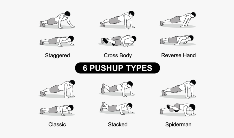 Line Art, Transparent Clipart