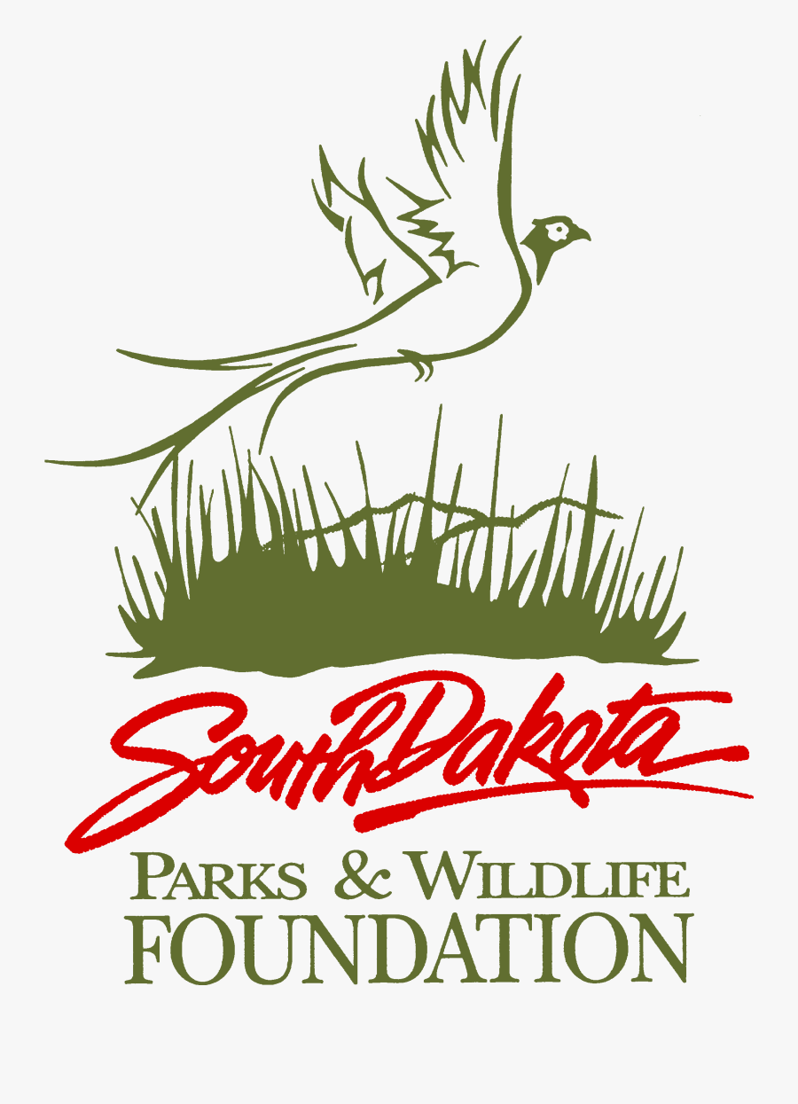 Parks And Wildlife Logo - Illustration, Transparent Clipart