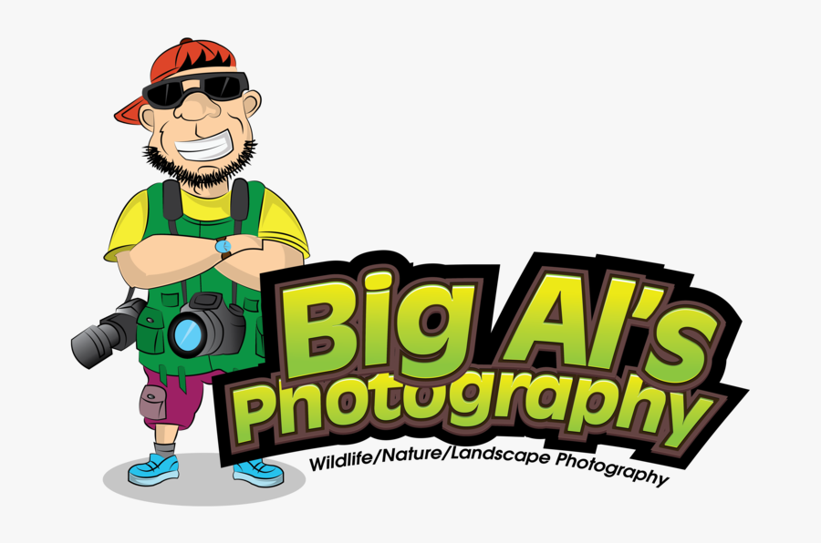 Landscape Wildlife Photographer Allan - Cartoon, Transparent Clipart