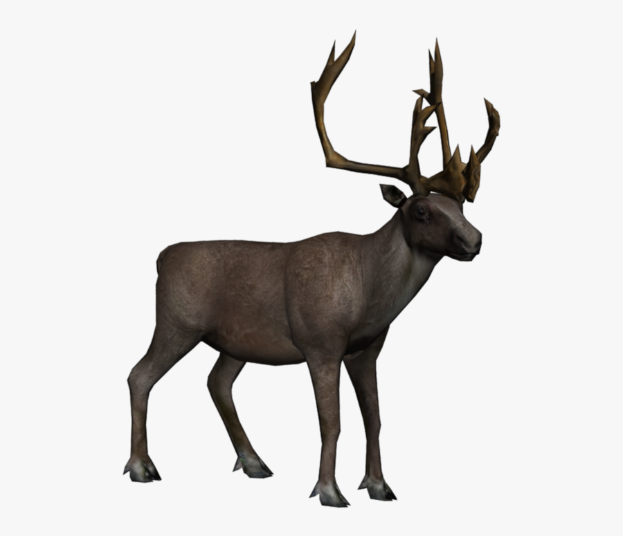 Caribou Transparent Background, Transparent Clipart