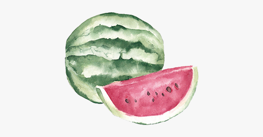 Fruit Auglis Clip Art - Watercolor Watermelon Png, Transparent Clipart