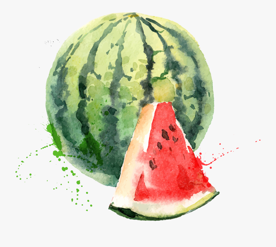 Watermelon Png Download Free Clipart - Fruit Watercolour, Transparent Clipart