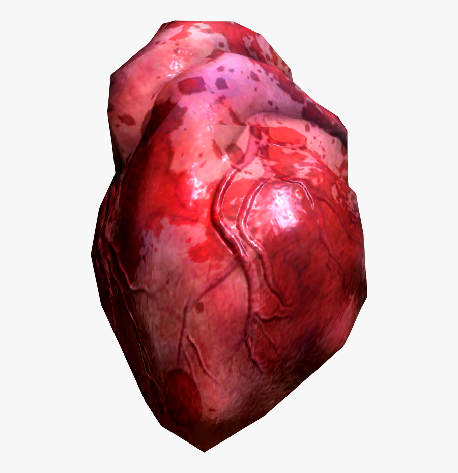 How A Human Heart Can Become Circular - Real Heart Transparent Png, Transparent Clipart