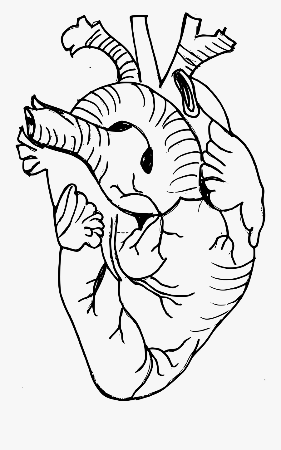 Clip Art Png Transparent Onlygfx - Real Heart Drawing Png, Transparent Clipart