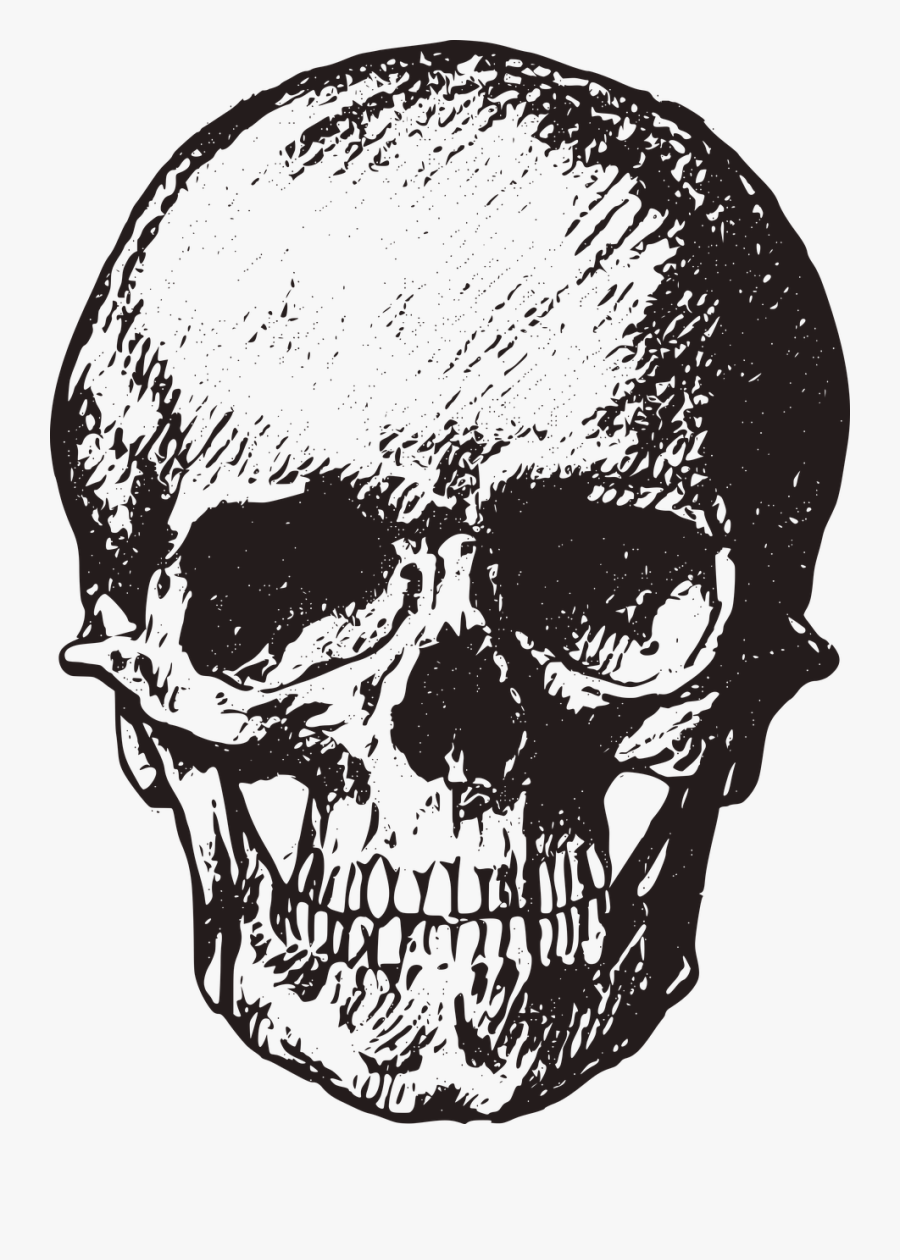 Skull Vintage Old Horror Png Image - Skull Free, Transparent Clipart