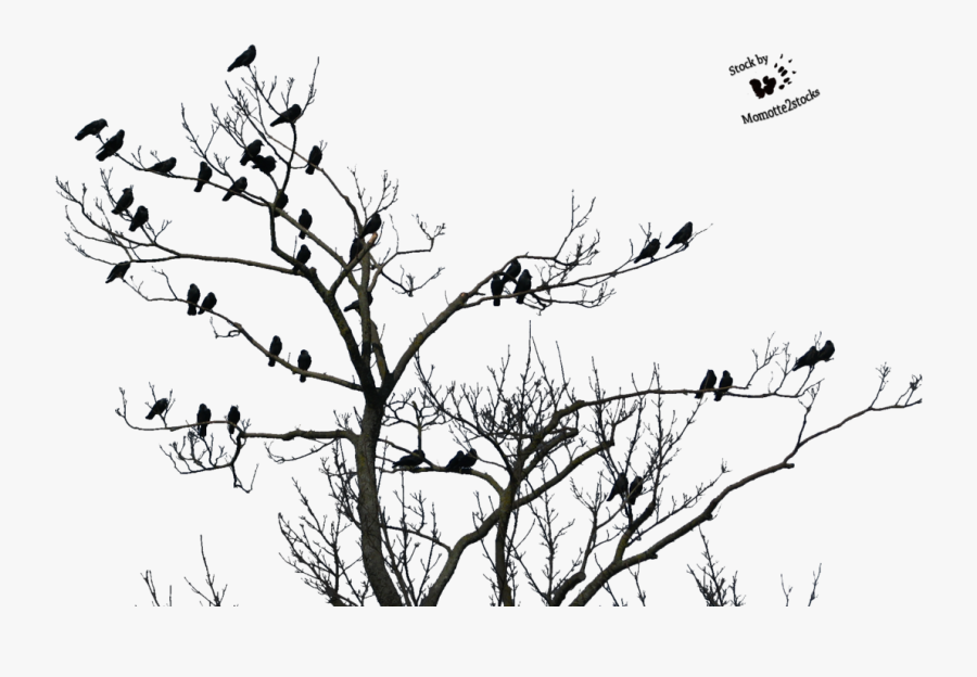 High Resolution Horror Png Clipart - Good Evening Happy Sunday, Transparent Clipart