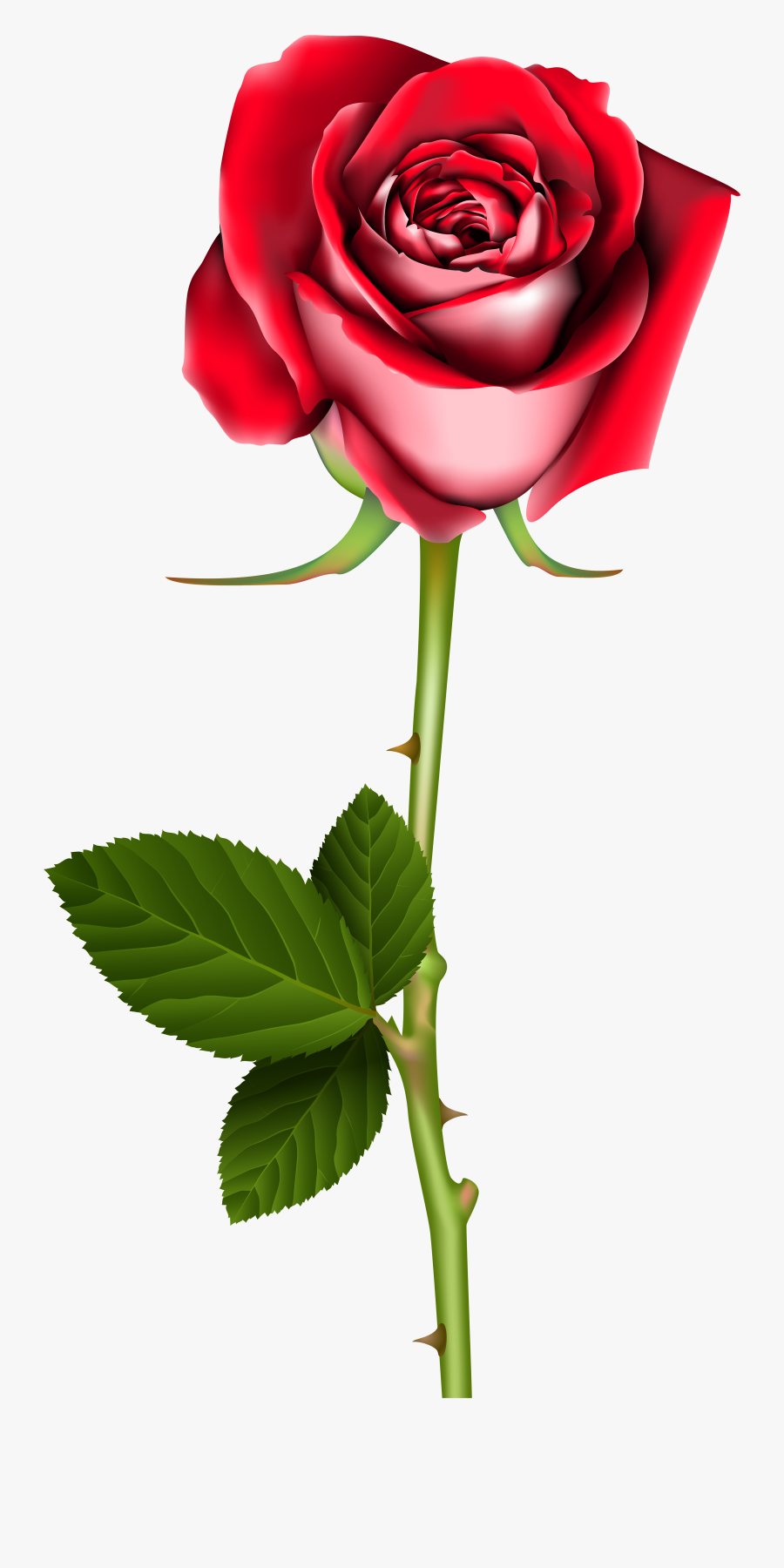 Rose Png Clip Art - Transparent Transparent Background Rose Png, Transparent Clipart