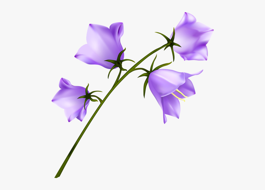 Campanulas Flowers Png Clipart - Distância Impede O Toque Mas O Sentimento Não, Transparent Clipart