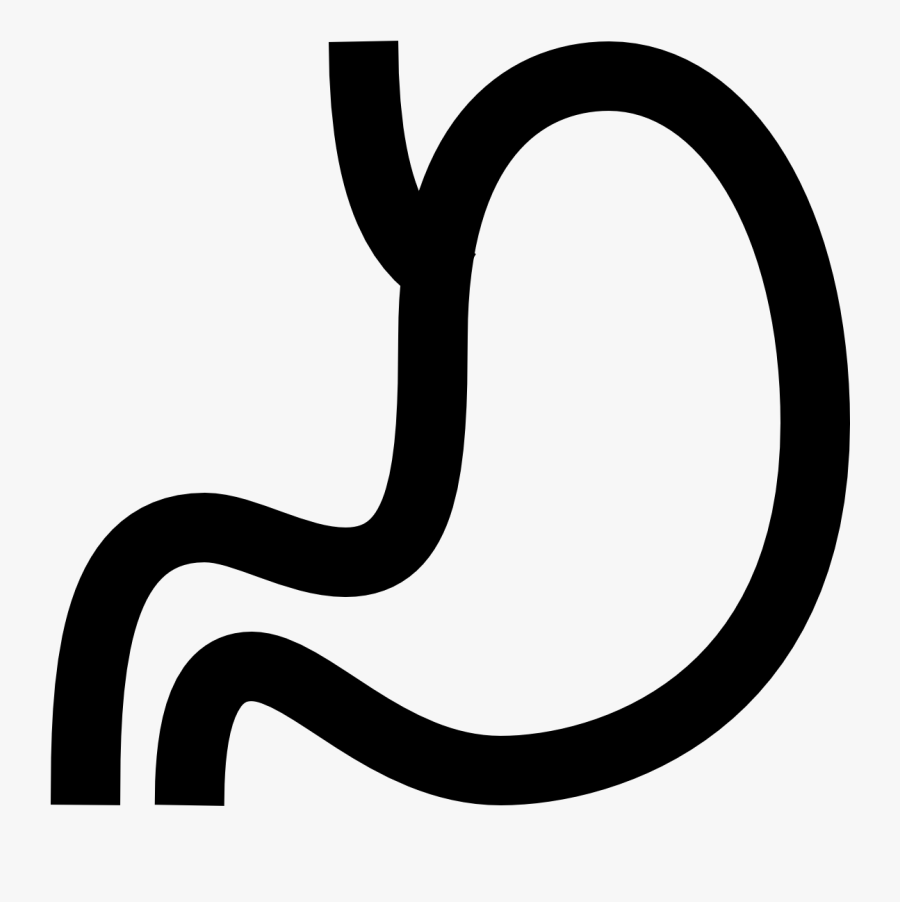 The Stomach Is Somewhat Shaped Like A Bag, Tapering, Transparent Clipart