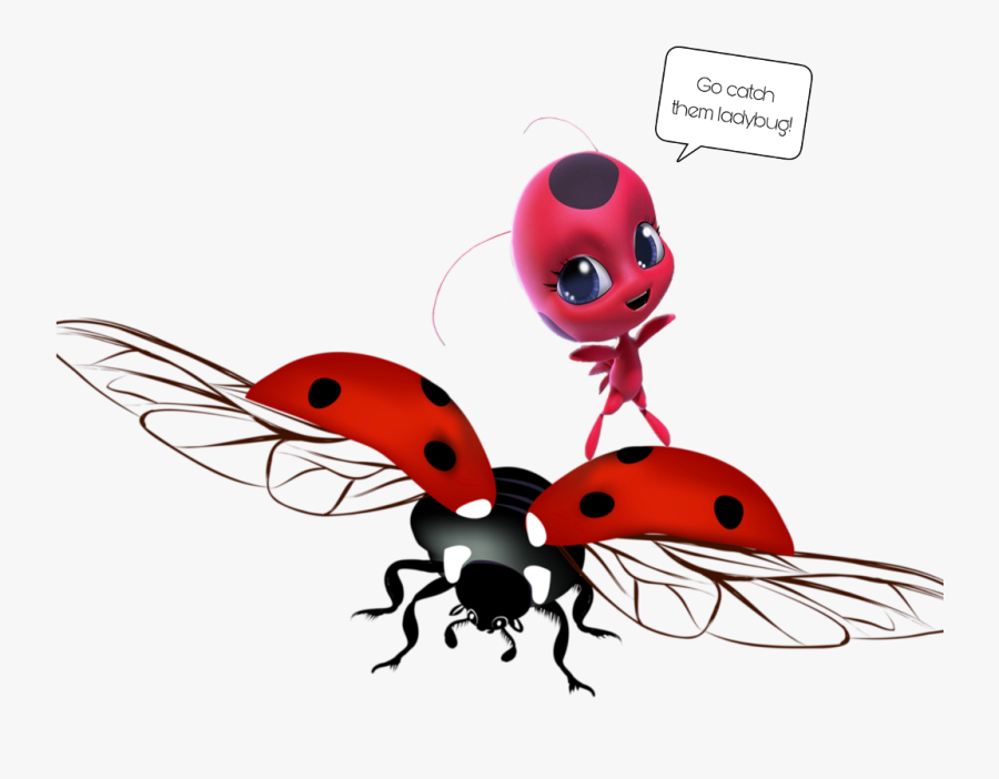 #freetodraw #like #ladybug #ladybugs #comedy #stickers, Transparent Clipart