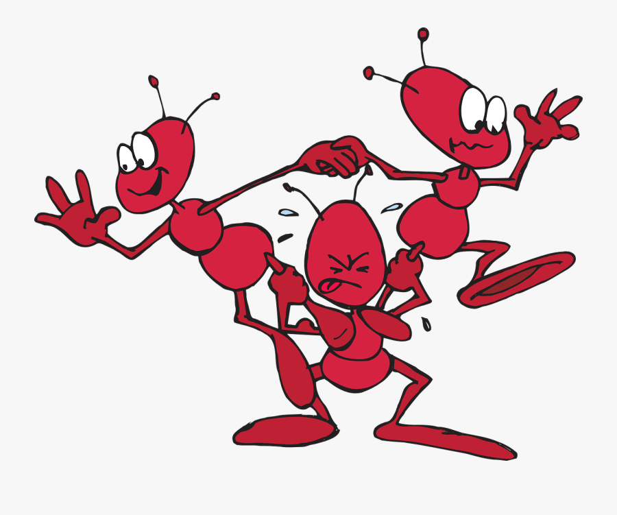 Ant, Funny, Comedy, Lifting, Strain, Acrobats, Lift - Animals Crossword Puzzle Kids, Transparent Clipart