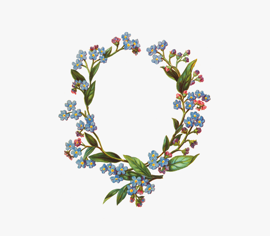 Forget Me Not Flower Frame - Flower Transparent Forget Me Not, Transparent Clipart