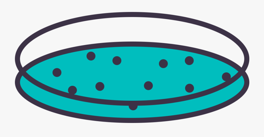 Petri Dish Png - Circle, Transparent Clipart