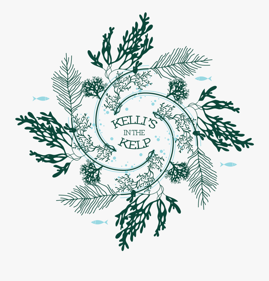 Transparent Clear Table Clipart - Illustration, Transparent Clipart