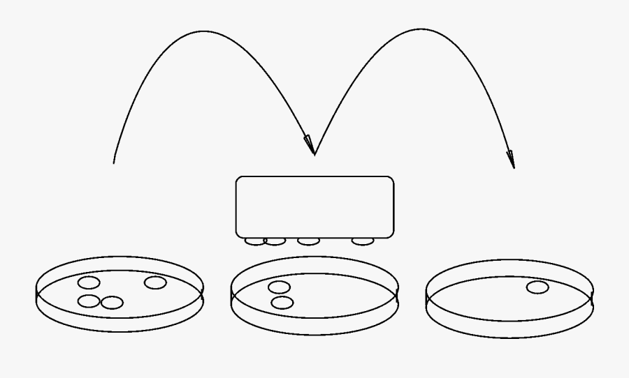 File - Stamp Petridish - Svg - Line Art - Line Art, Transparent Clipart