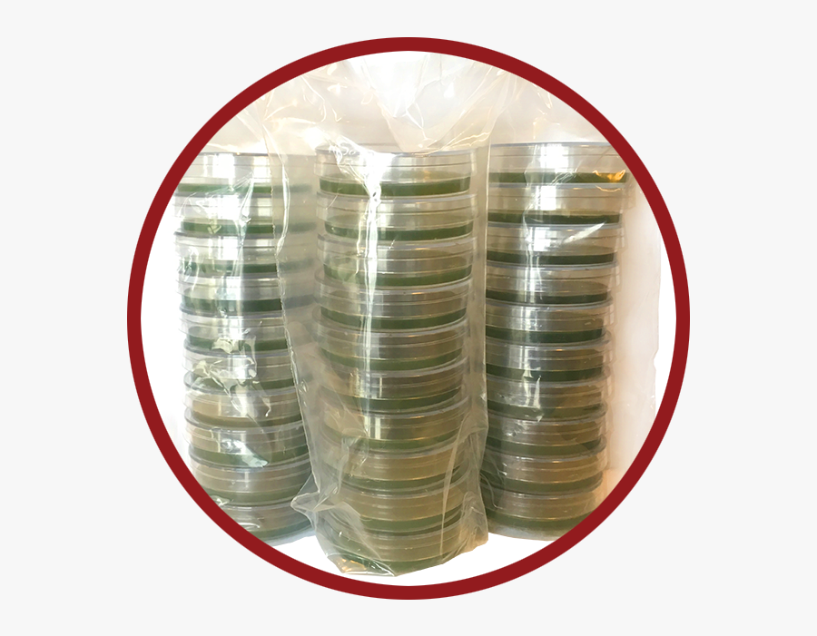 An Image Of Lmda Plates For Brewers From Bsi - Coin, Transparent Clipart