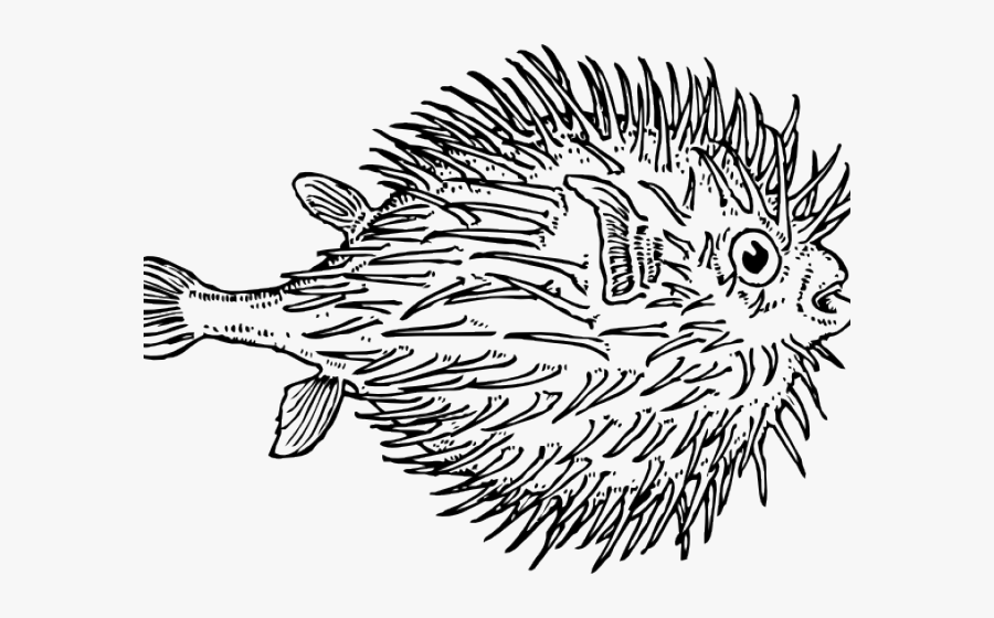 Gym Class Clipart, Transparent Clipart