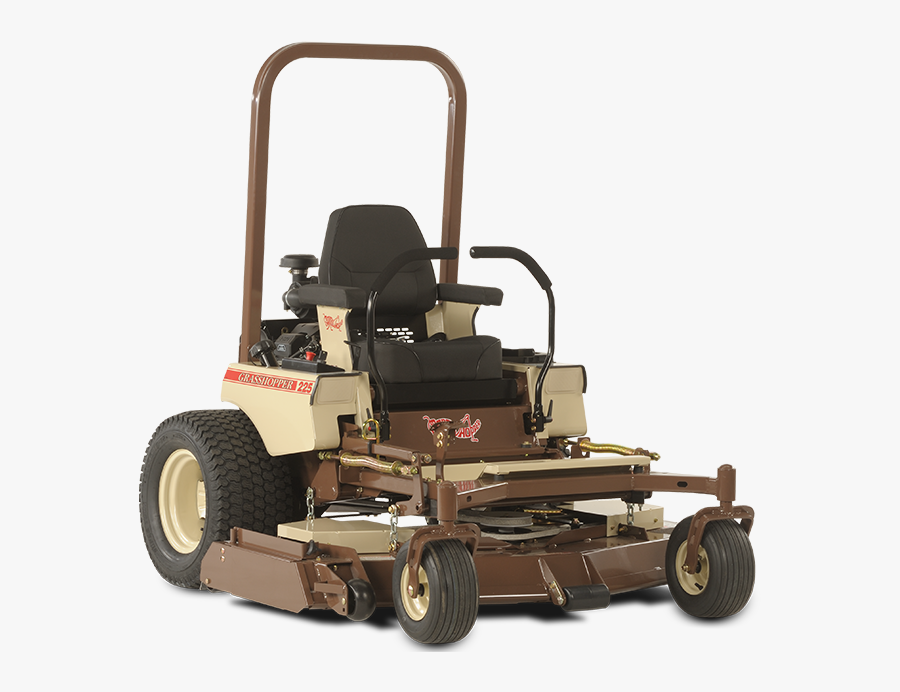 Transparent Grasshopper Png, Transparent Clipart