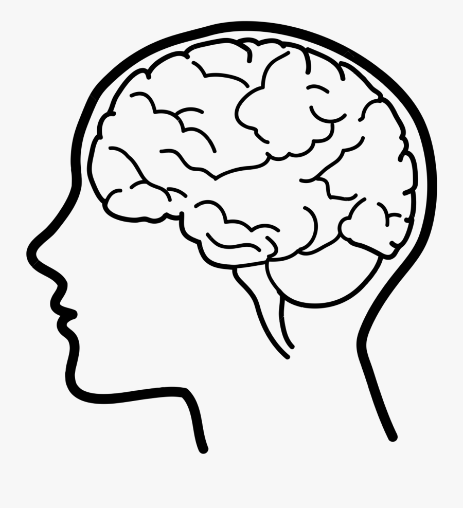 Human Brain Clip Art - Easy Drawings Of A Brain, Transparent Clipart