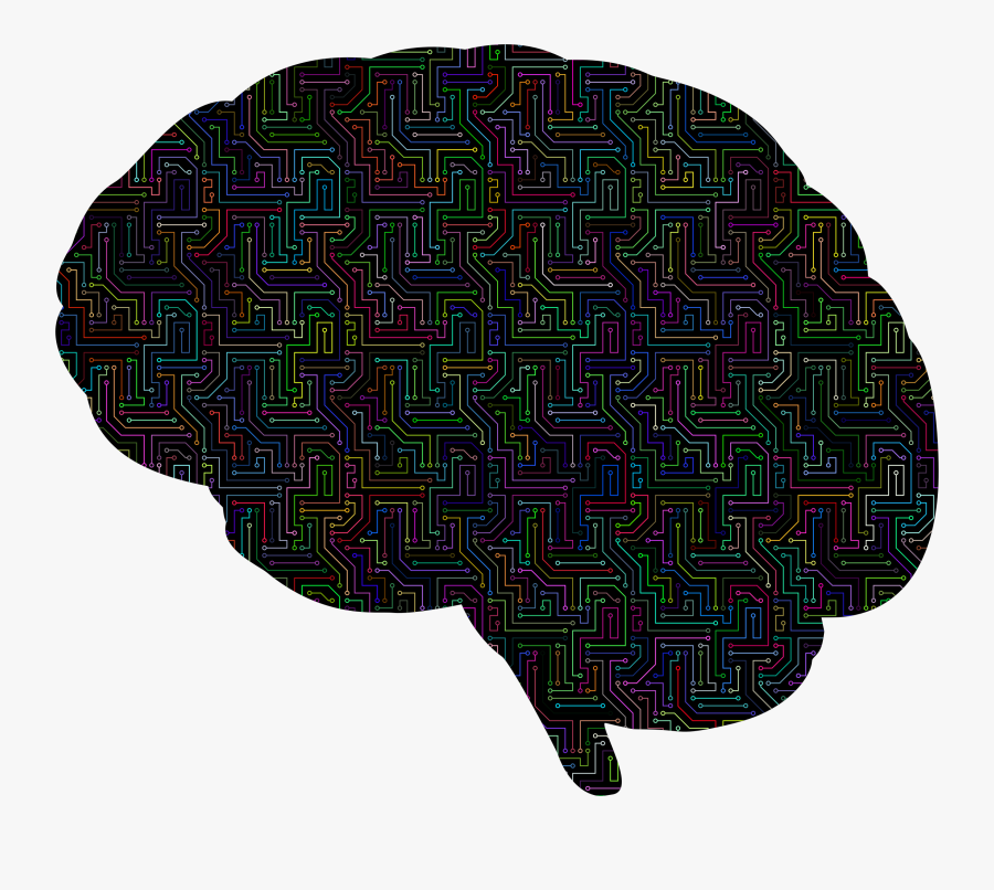 Brain Computer Icons Skull - Illustration, Transparent Clipart