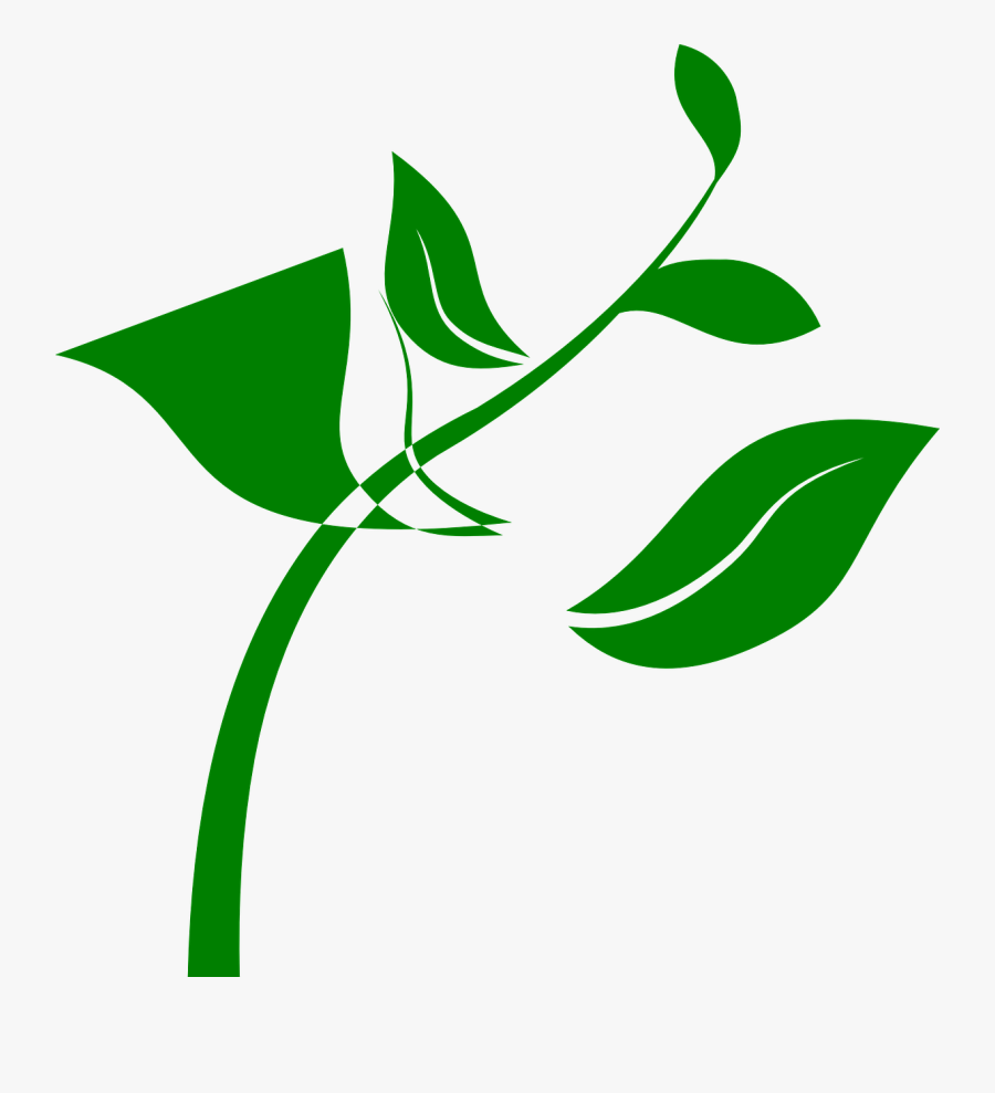 Transparent Stem Clipart - Growing Plant Clip Art, Transparent Clipart