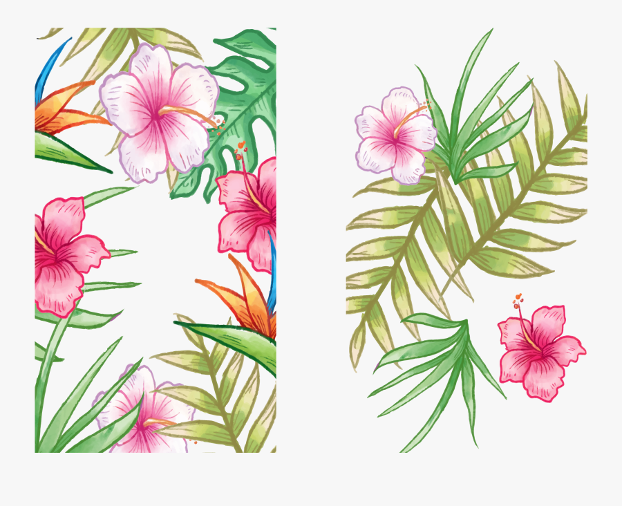 Epiphyllum Petal Family Annual Plant Plant Stem - Hawaiian Hibiscus, Transparent Clipart