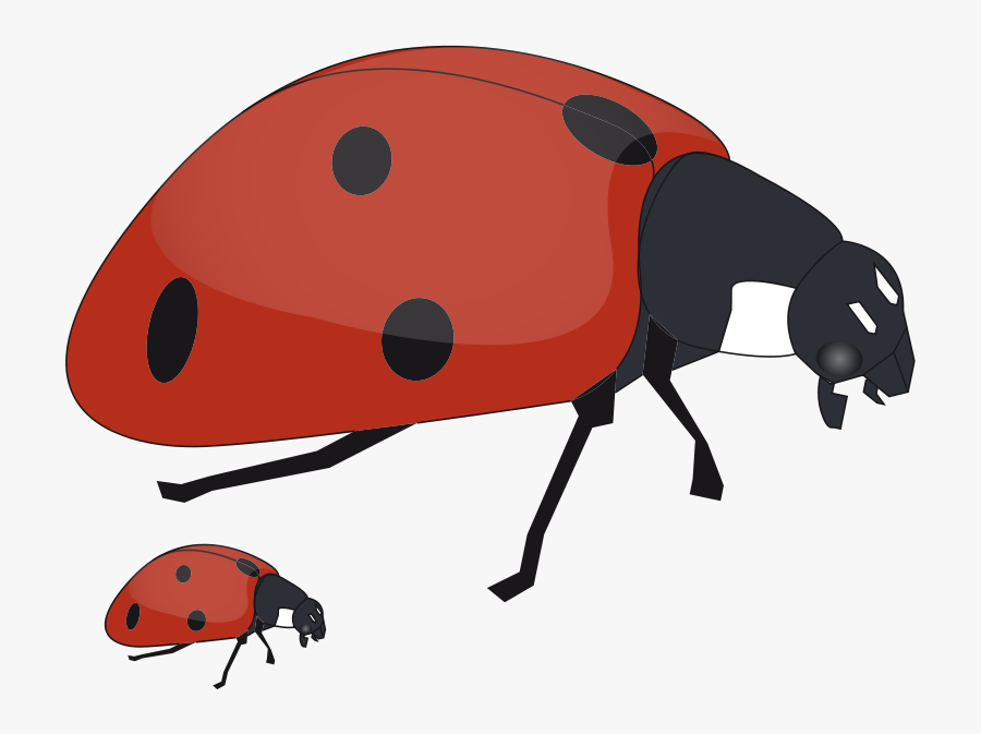 Free To Use Public Domain Ladybug Clip Art - Mom And Baby Ladybug, Transparent Clipart