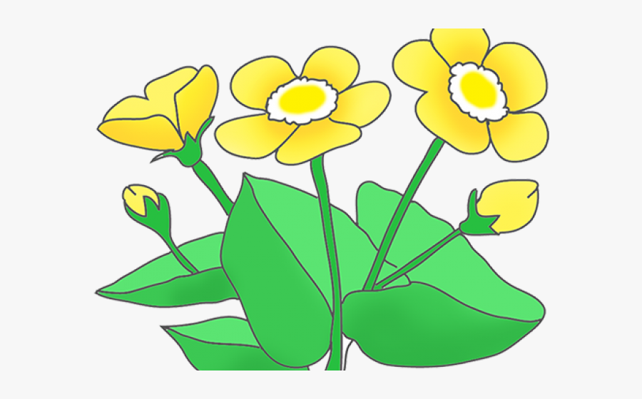 Flower Clip Art - Daffodils Transparent Background Cartoon, Transparent Clipart