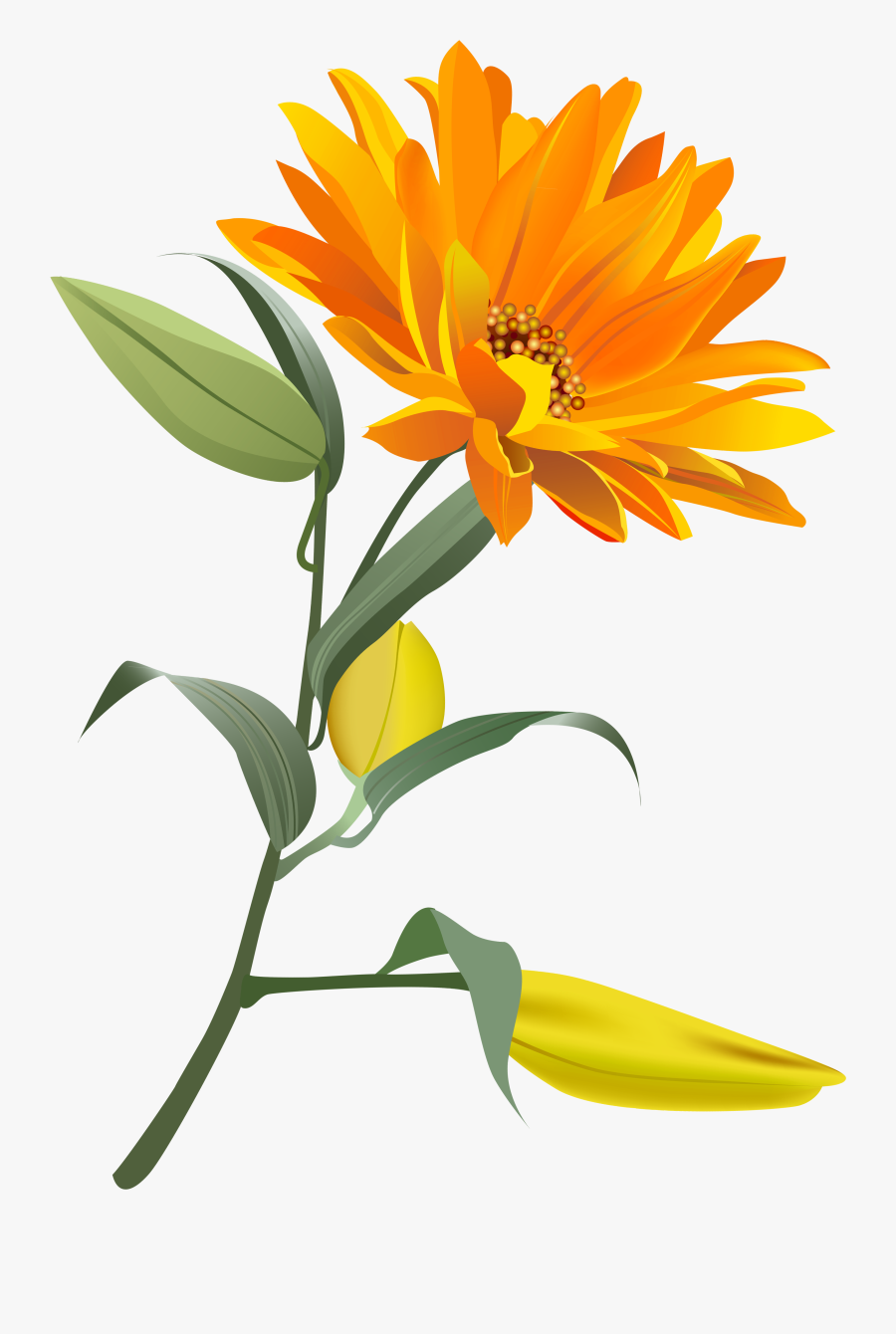 Orange Flower Png Clip Art Imageu200b Gallery Yopriceville - Transparent Background Orange Flower Png, Transparent Clipart