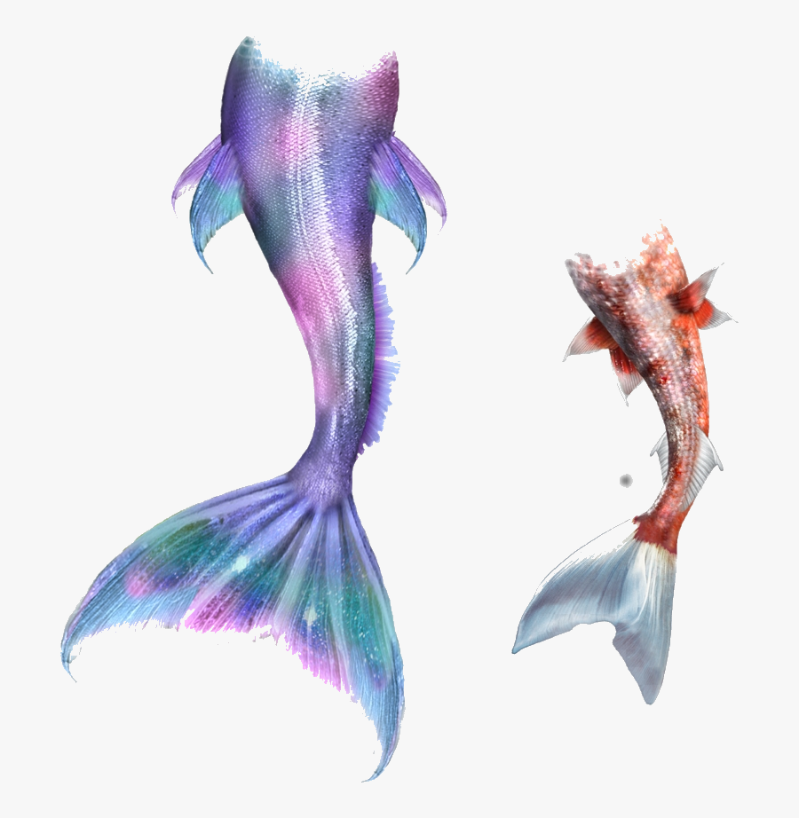 Mermaid Tail Clipart Merman Free Transparent Png - Mermaid Tail Drawing, Transparent Clipart