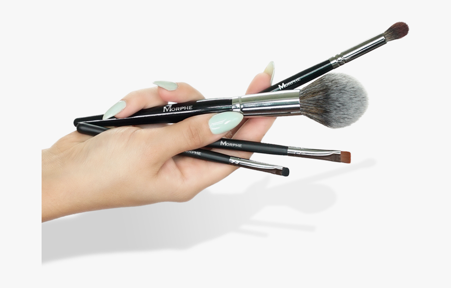 Hand With Makeup Brush Png, Transparent Clipart