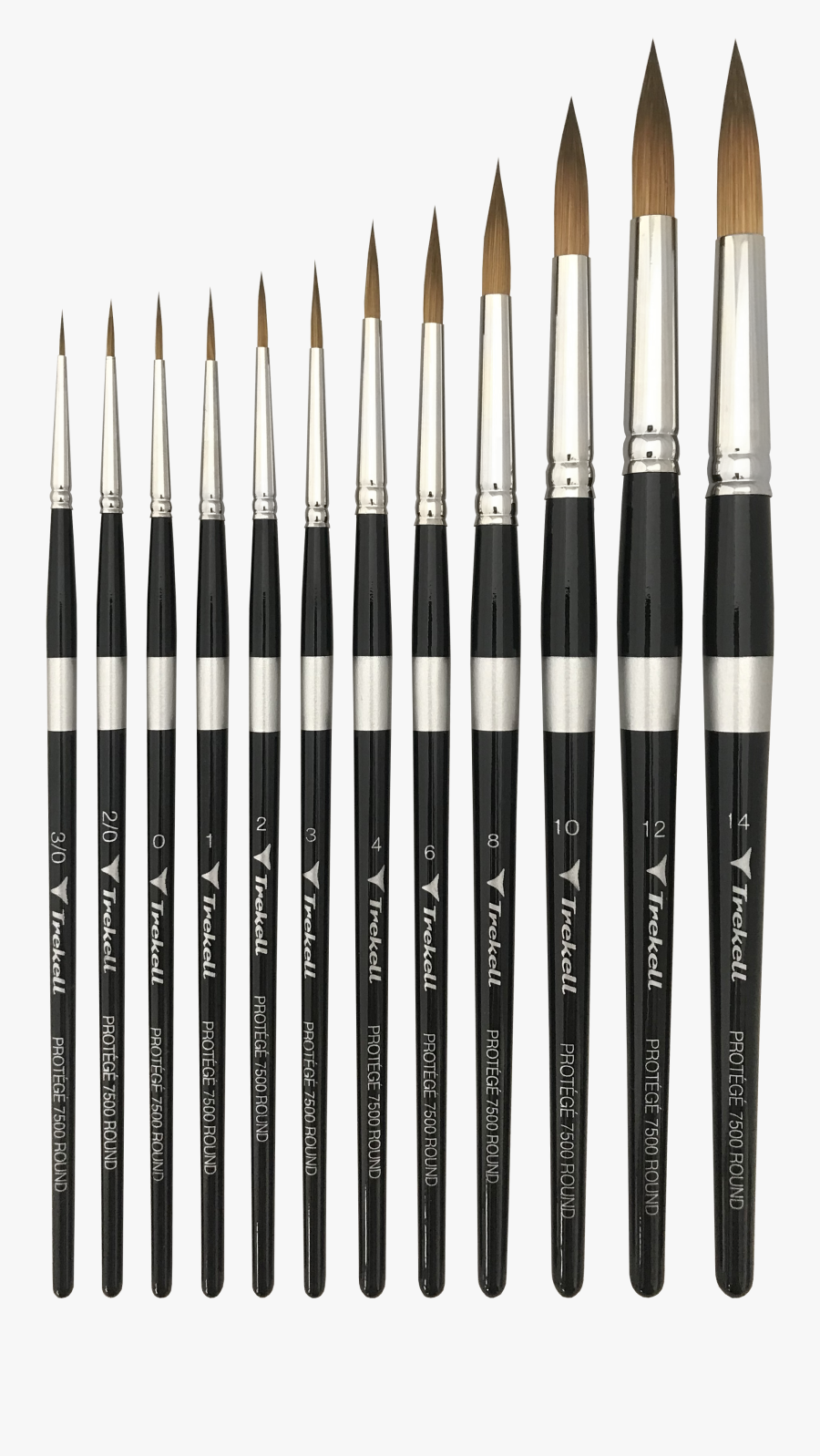 Makeup Brushes - Cosmetics, Transparent Clipart