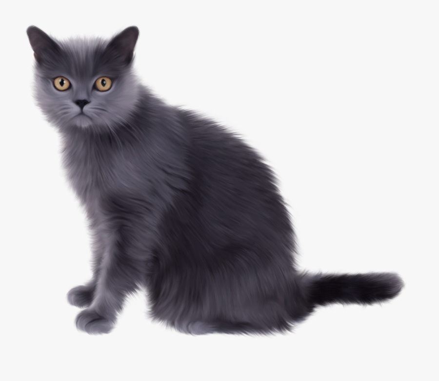 Black Sitting Cat Png Image - Transparent Background Cat Png Gray, Transparent Clipart