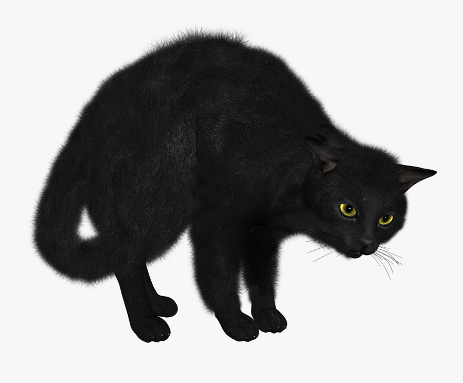 Black Cat Transparent Background, Transparent Clipart