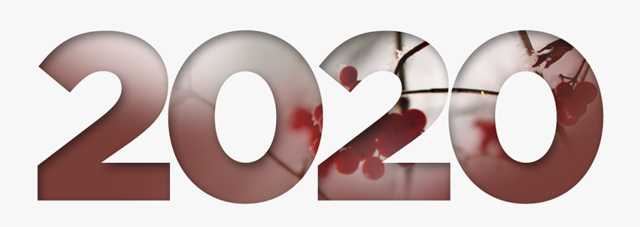 Heart, Transparent Clipart