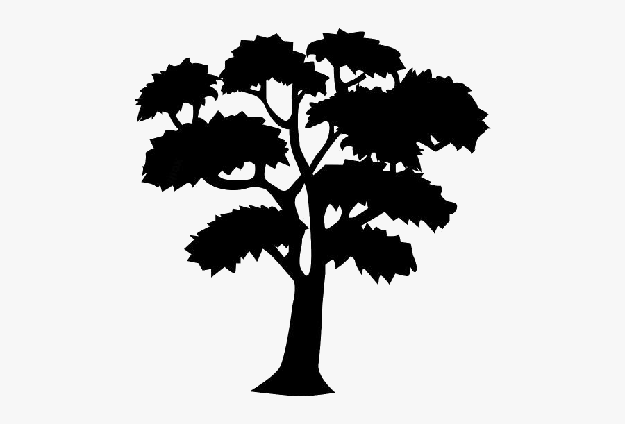 Big Tree Png Clipart Download - Mahogany Tree Clipart, Transparent Clipart