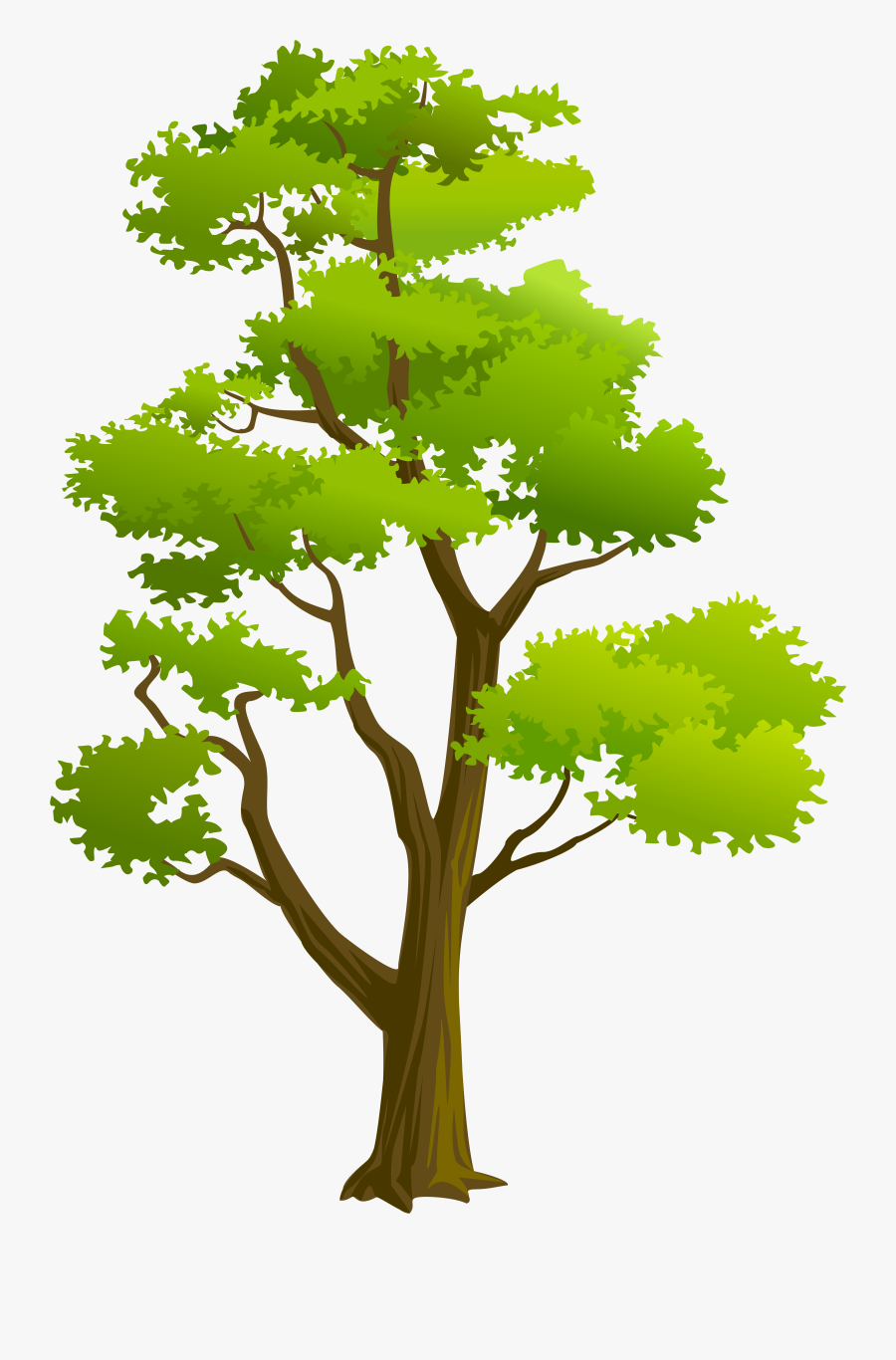 Free Png Download Tree Png Png Images Background Png - Tree Clipart High Resolution, Transparent Clipart