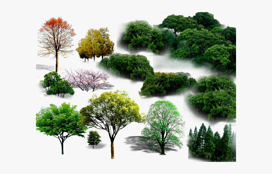 Tree Png File Hd Clipart - Planting Png, Transparent Clipart
