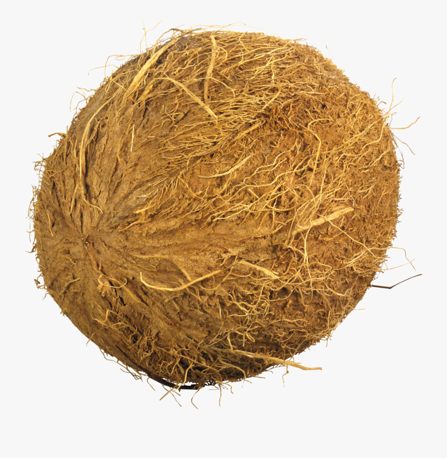 Nariyal Png, Transparent Clipart