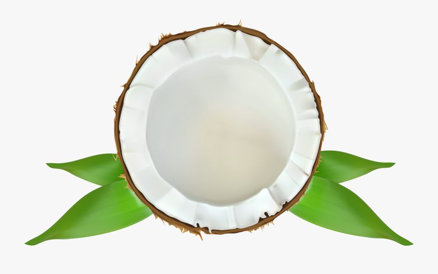 Transparent Png Drawings - Transparent Background Green Coconut Png, Transparent Clipart