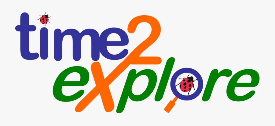 Graphic Design, Transparent Clipart